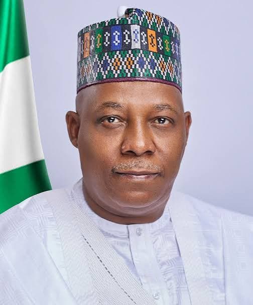 His Excellency, Kashim Shettima