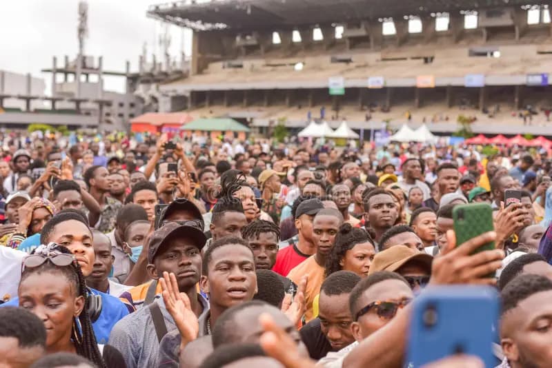 Young Nigerian professionals working together at a laptop